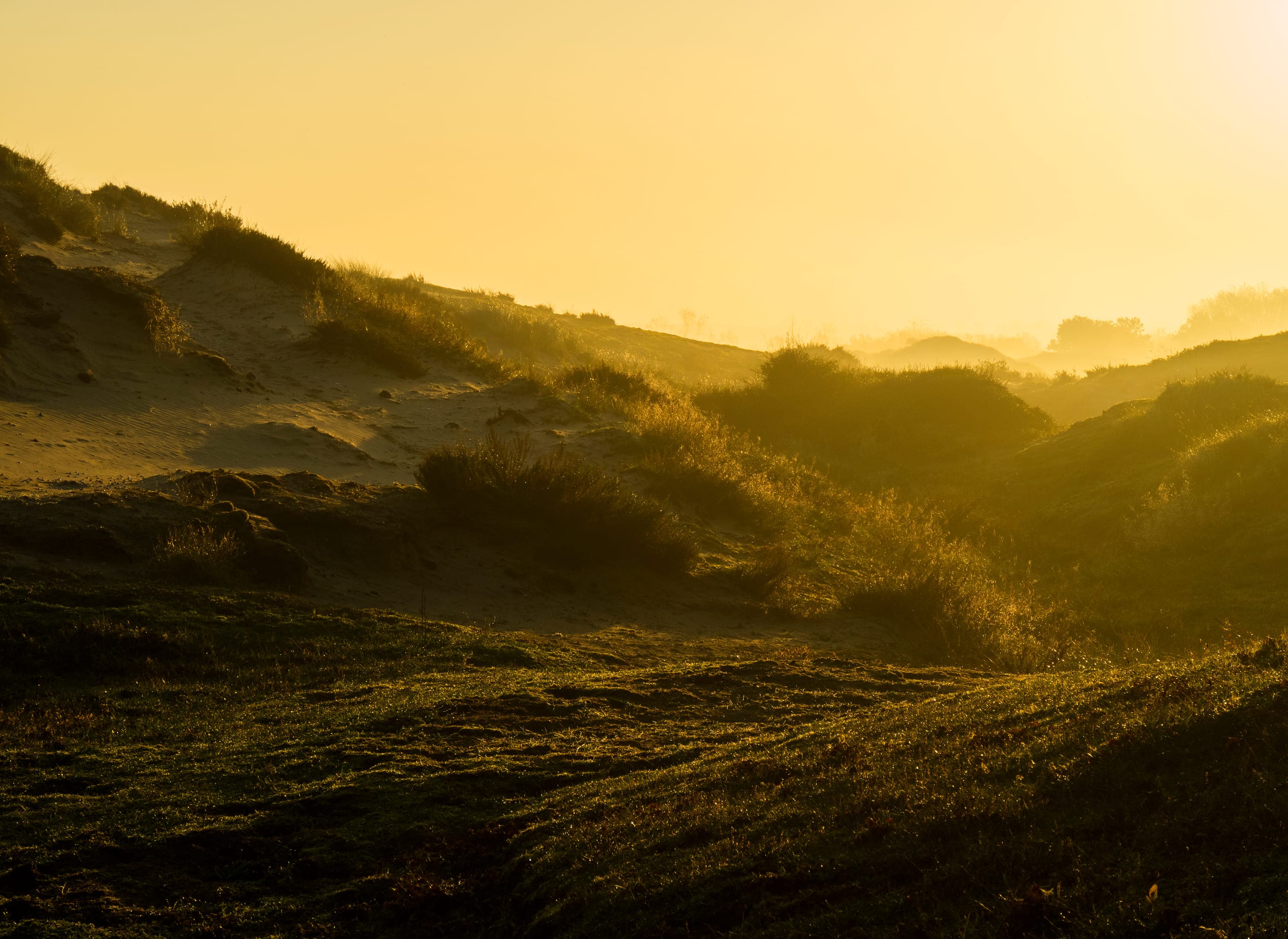 Duinen in het avondlicht