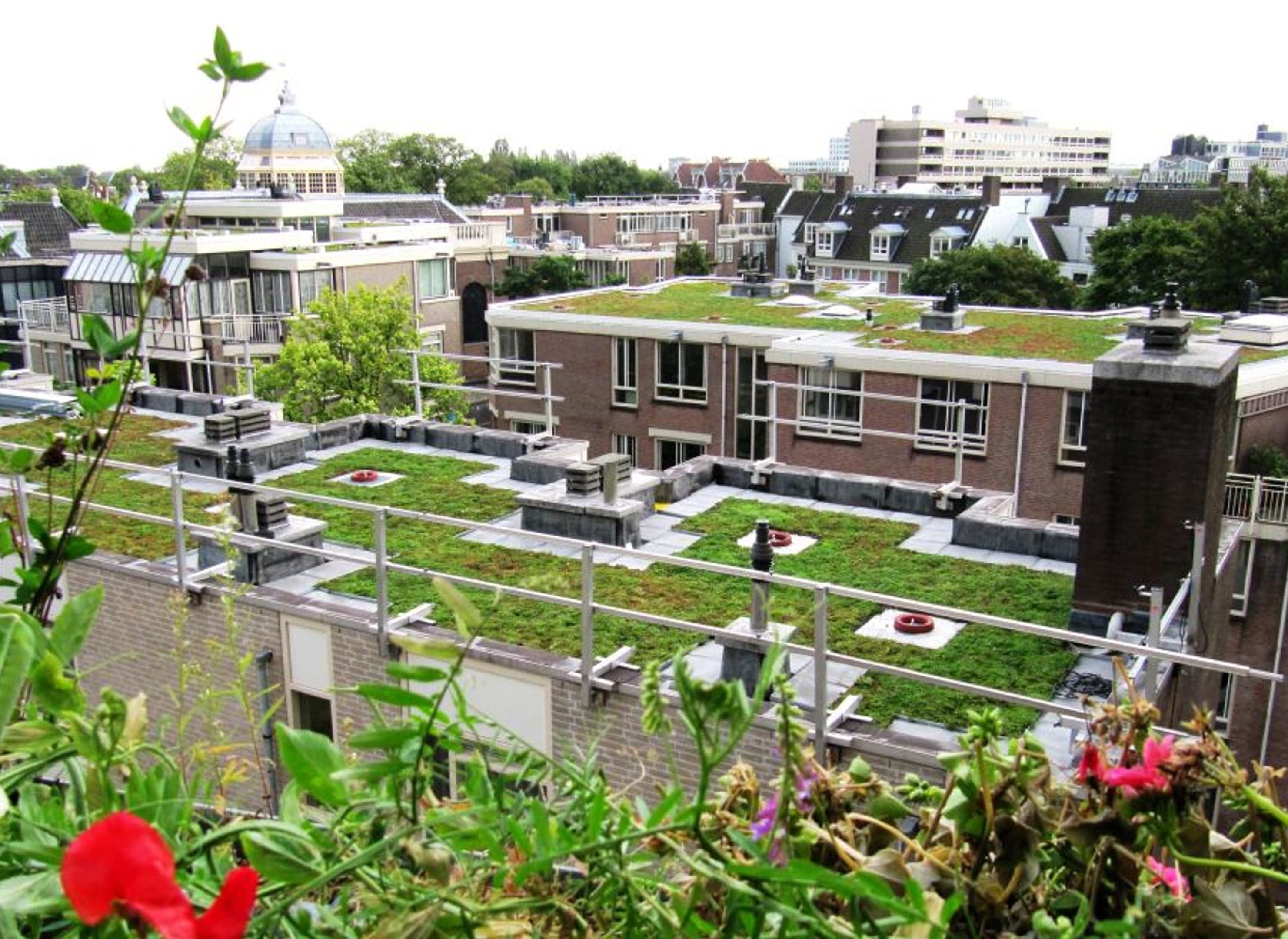 Overzicht over een kleinschalig appartementencomplex met groene daken