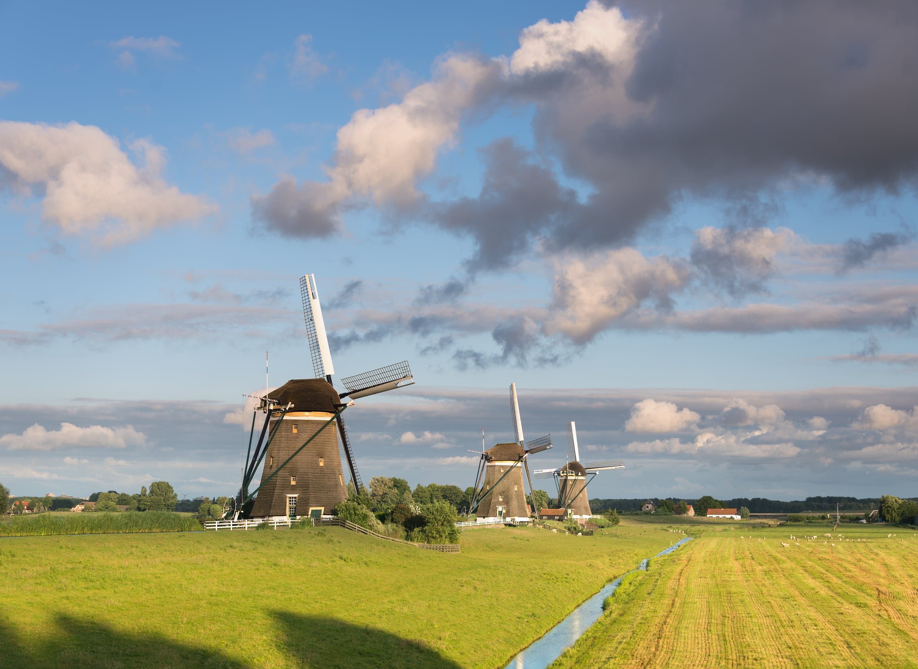 Drie molens in een graslandschap onder een blauwe lucht met schapenwolken